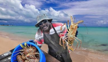 Anegada-Lobster-Festival2.jpg