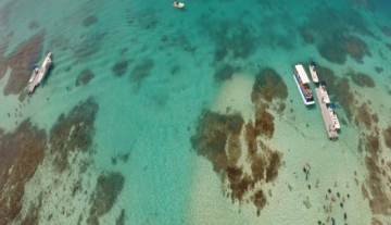 Antigua-Stingray-City2.jpg