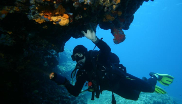 Scuba-Diving---Copy.jpg