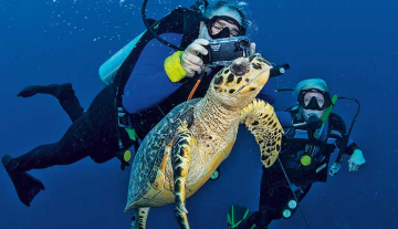 Scuba-Diving3.jpg