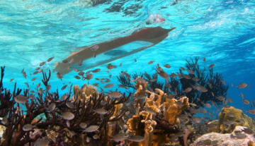 The-Marine-Reserve3.jpg