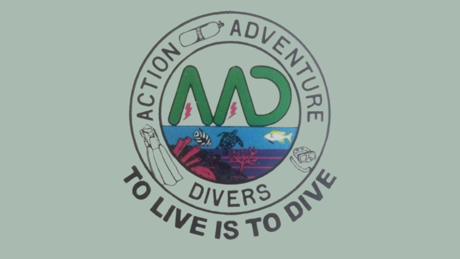 Action Adventure Divers - boat & kit