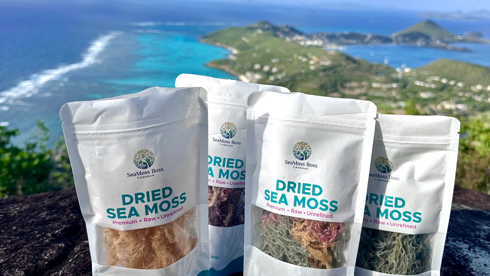 SeaMoss Boss Canouan 1