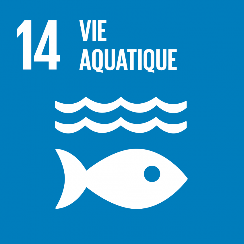 SDG14 - Life Below Water