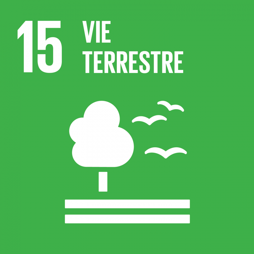 SDG15 - Life on Land