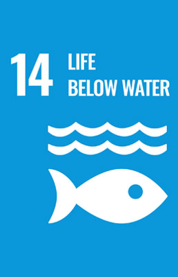 SDG14 - Life Below Water